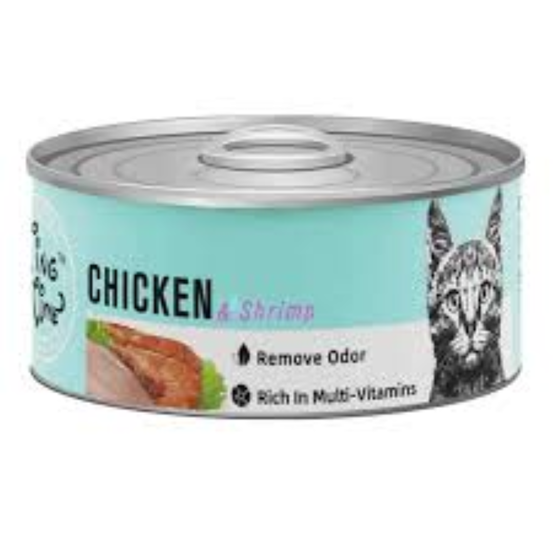 TING TIME CAT CAN CHICKEN & SHRI 95G